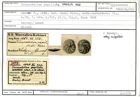 Karteikarte zum Syntyp von Truncatulina papillata Karrer, 1868